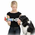 Inhalátor AeroDawg pro velké psy kobieta-stosuje-aerodawg-na-swoim-psie-1-150x150.jpg