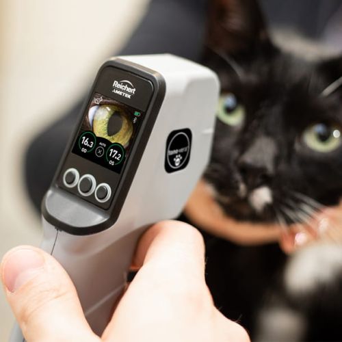 Tono Vera VET Veterinární tonometr Reichert Tono-Vera Vet 2.jpg