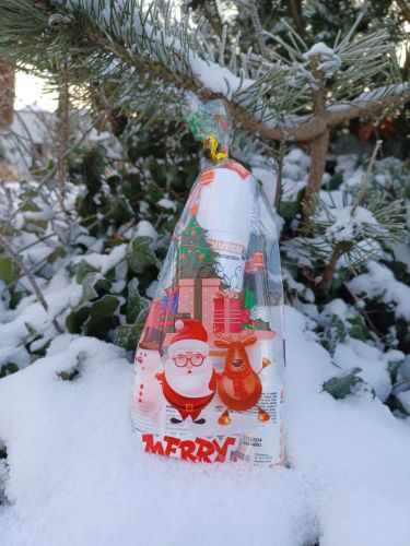 Sada pro vánoční péči Silveco zdj. 1.jpg