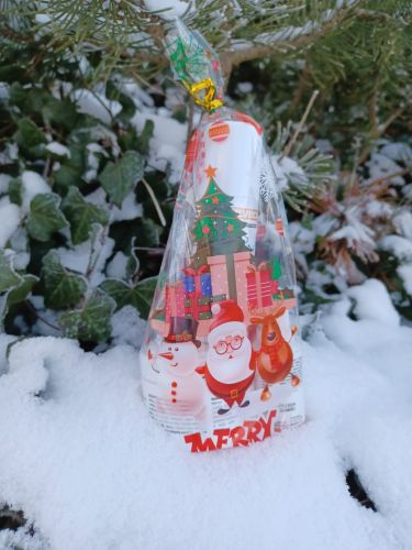 Sada pro vánoční péči Silveco zdj. 2.jpg