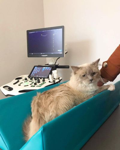 Diagnostický polohovač L Diagnostic positioner 5-min.jpg