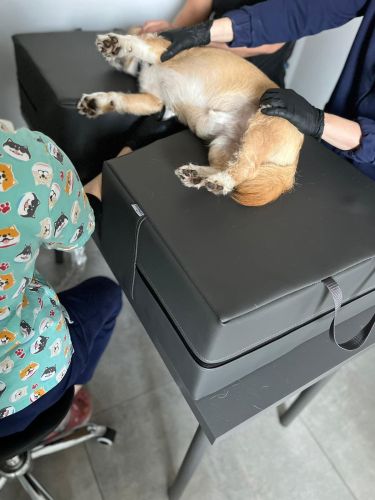 Echo testovací matrace tmavě šedá Echo mattress VS9-min.jpg