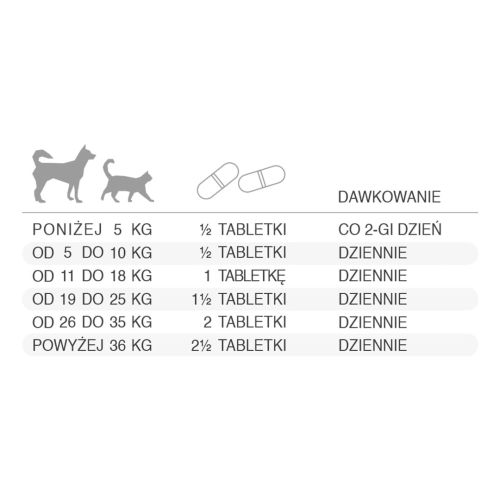 VITAZIUM podpora zraku 40 ks Eurowet WYZIUM wspomaganie wzroku 40 szt Eurowet-4.jpg