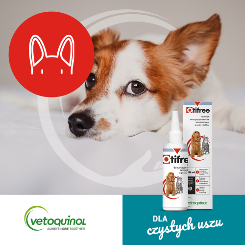 Otifree pro psy a kočky 01_vetoquinol_2022_SM_post-fb_karuzela_1080x1080_otifree_01.png