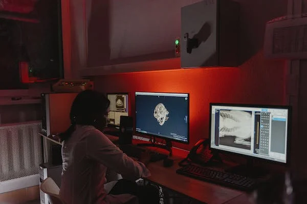 Kdy se používají veterinární monitory dechu?