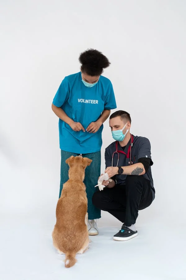 K čemu se používají veterinární výstružníky?