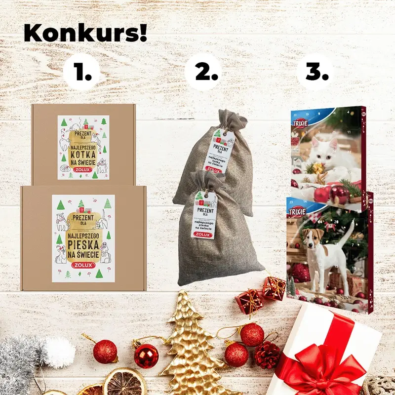 Výběrové řízení a jeho jednací řád