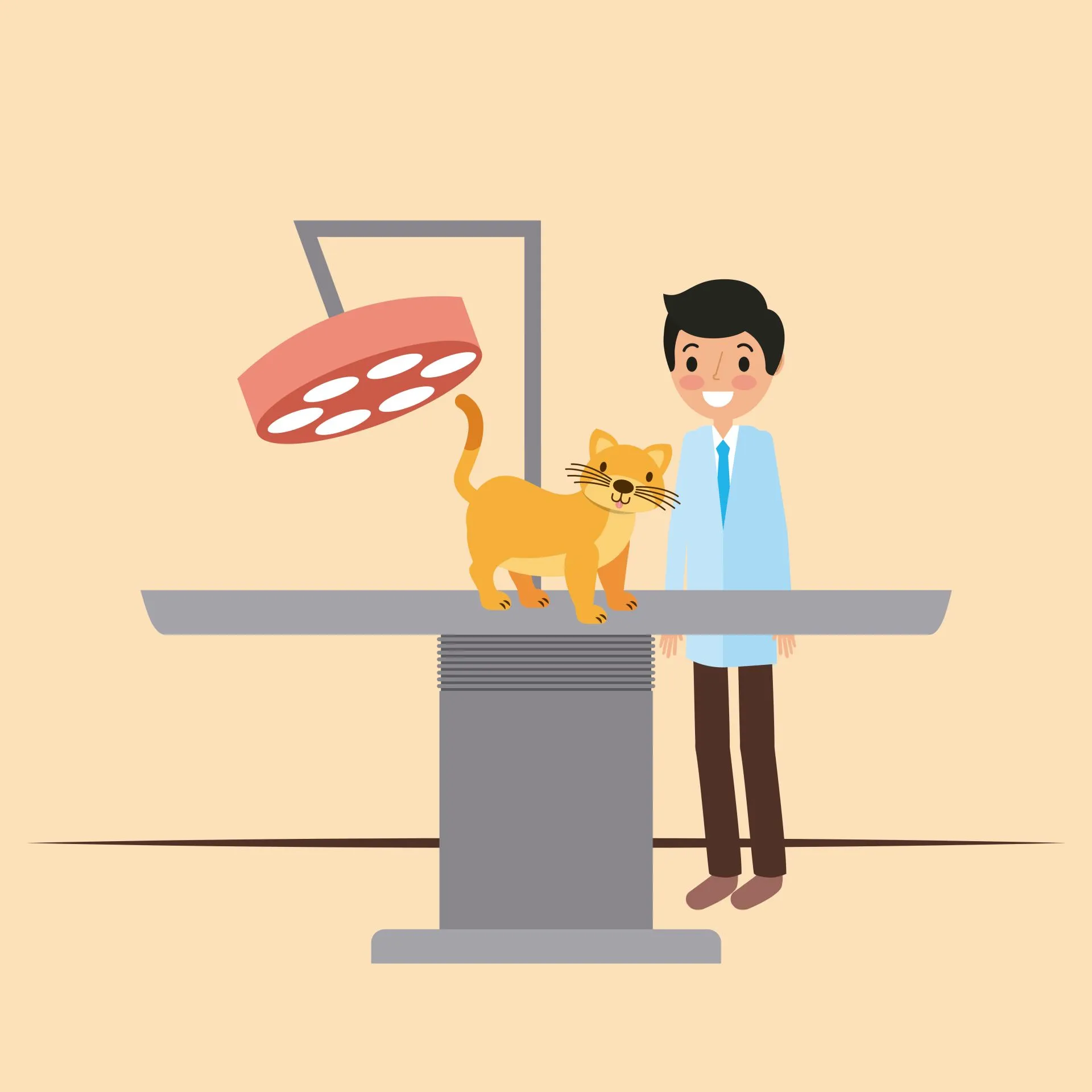 Moderní řešení ve světě veterinárních rentgenových stolů